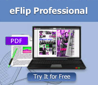PageFlip PDF to Flash Professional
