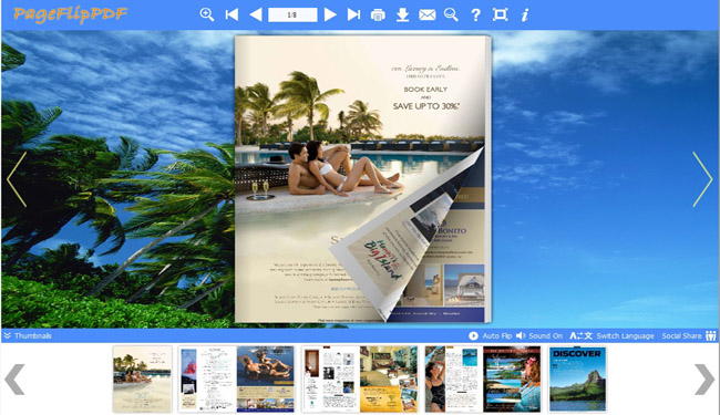 Coconut Palm Flip Book Theme