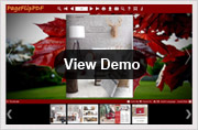 PDF to Flash Page Flip templates